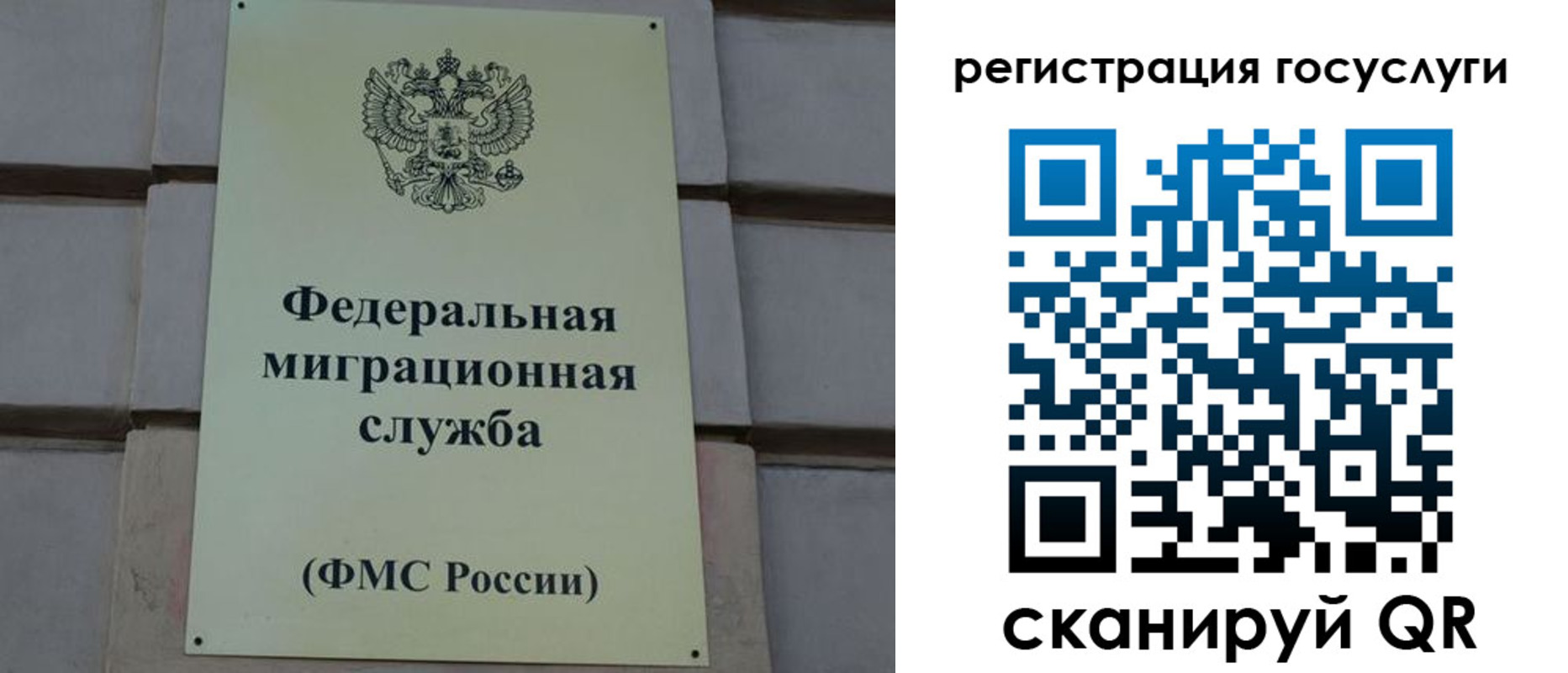 временная регистрация поиск в Тихорецке